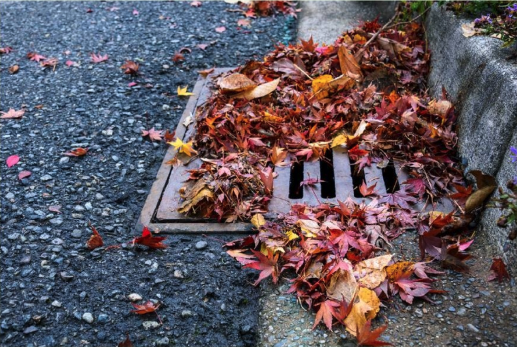 storm drain partially covered with fall leaves
